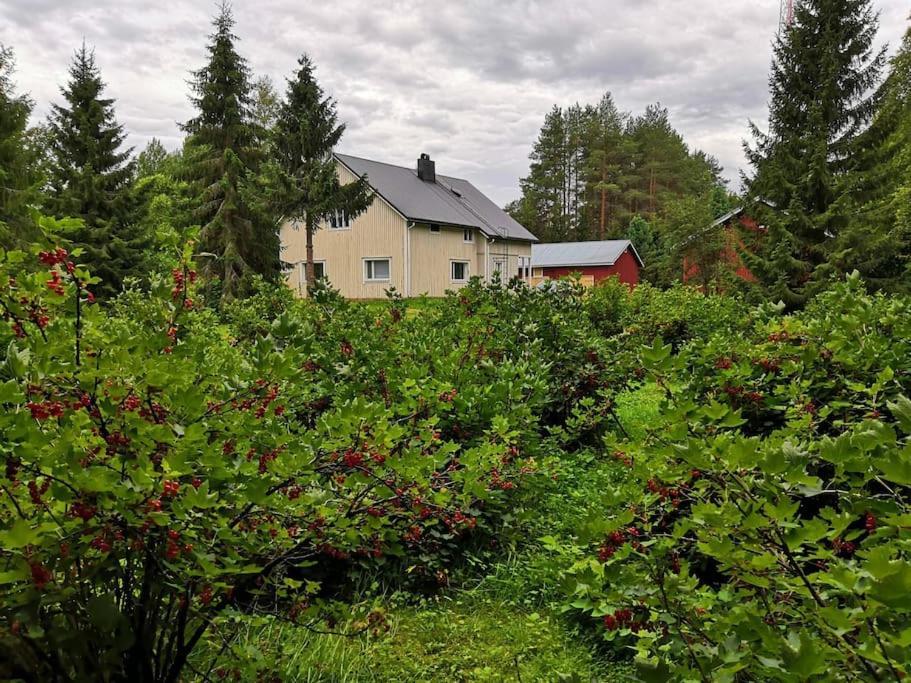 Villa Mukava Mummonmoekki Maaseudun Rauhassa Koivu Exterior foto