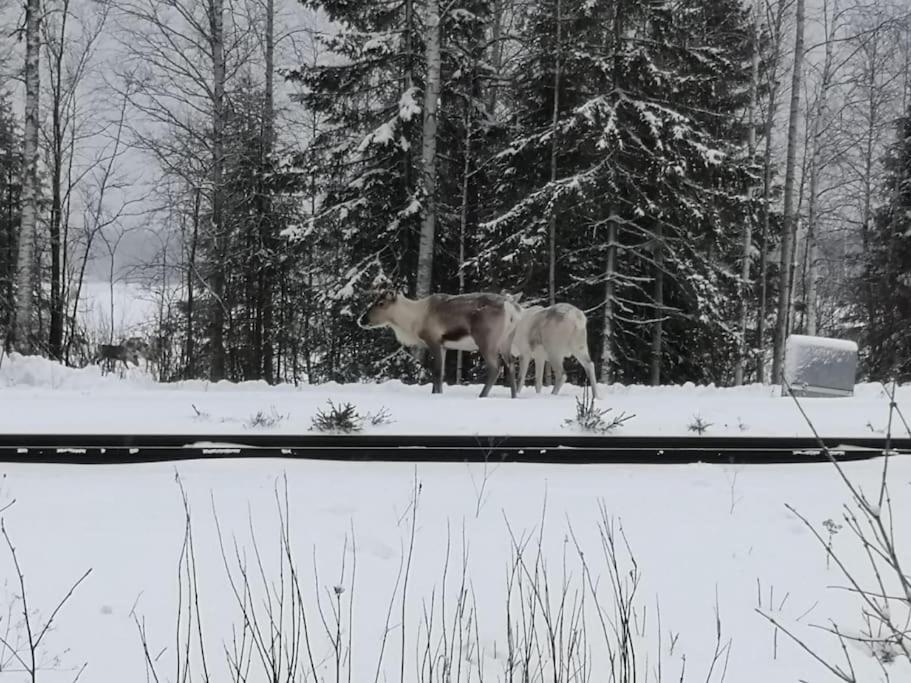 Villa Mukava Mummonmoekki Maaseudun Rauhassa Koivu Exterior foto