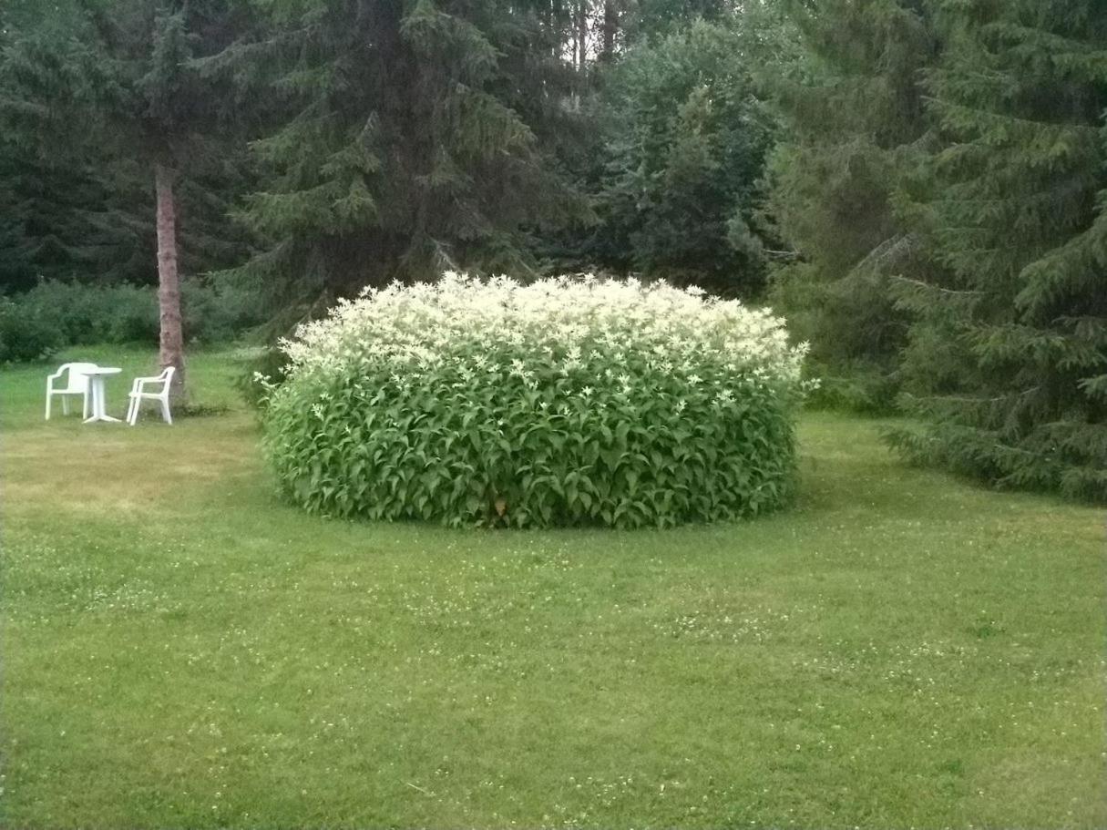Villa Mukava Mummonmoekki Maaseudun Rauhassa Koivu Exterior foto
